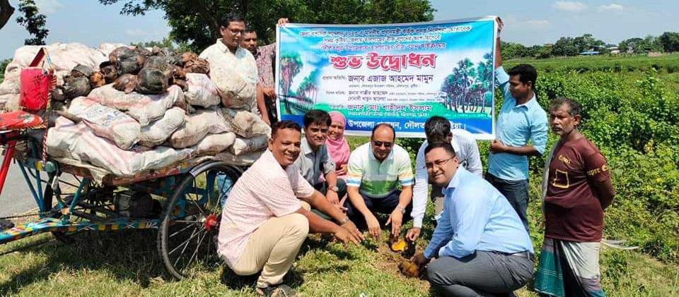 দৌলতপুরে সড়কের পাশে তালবীজ রোপন উদ্বোধন